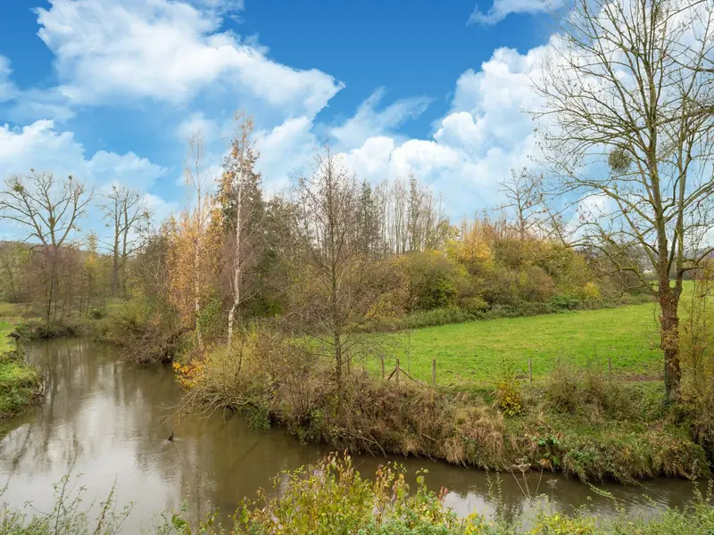 Een kronkelende rivier langs een groene weide met afrastering en bomen in herfstkleuren.