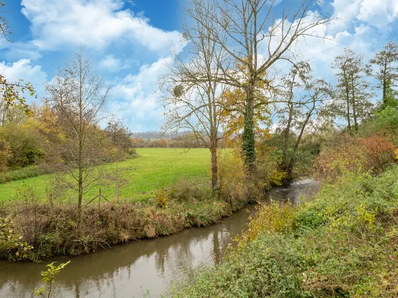 Een riviertje tussen begroeide oevers naast een groene wei, met herfstbomen en wolkenlucht.